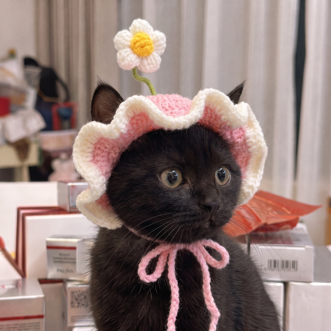 Sombreros Pawffy