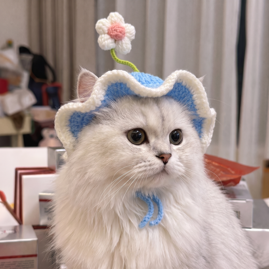 Sombreros Pawffy