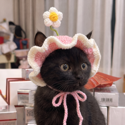 Sombreros Pawffy