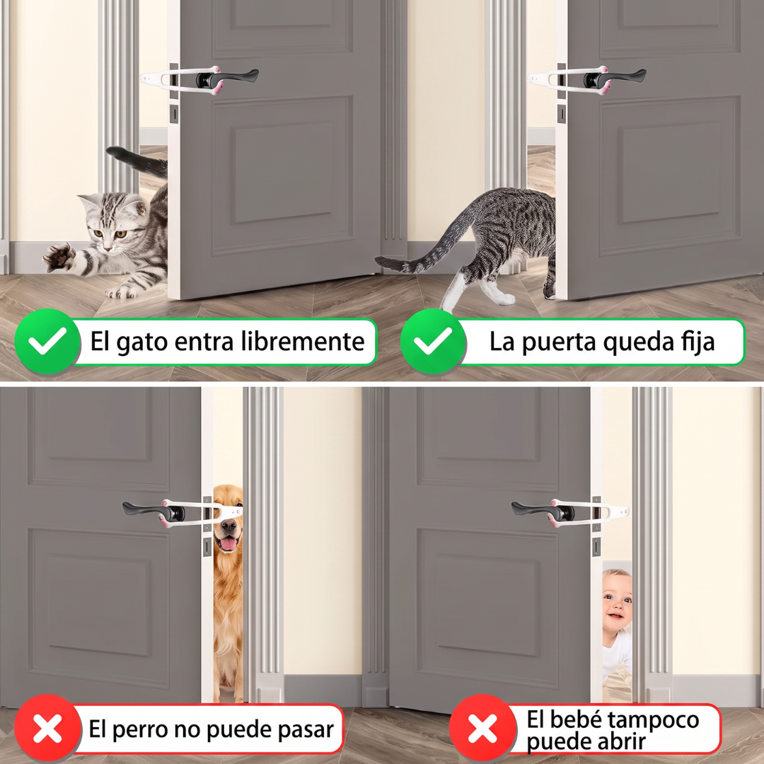 El Acceso de tu Gato