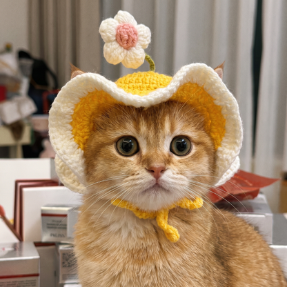 Sombreros Pawffy